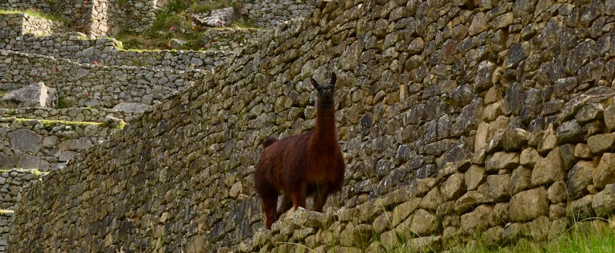 19 choses à faire pour visiter le Pérou autrement