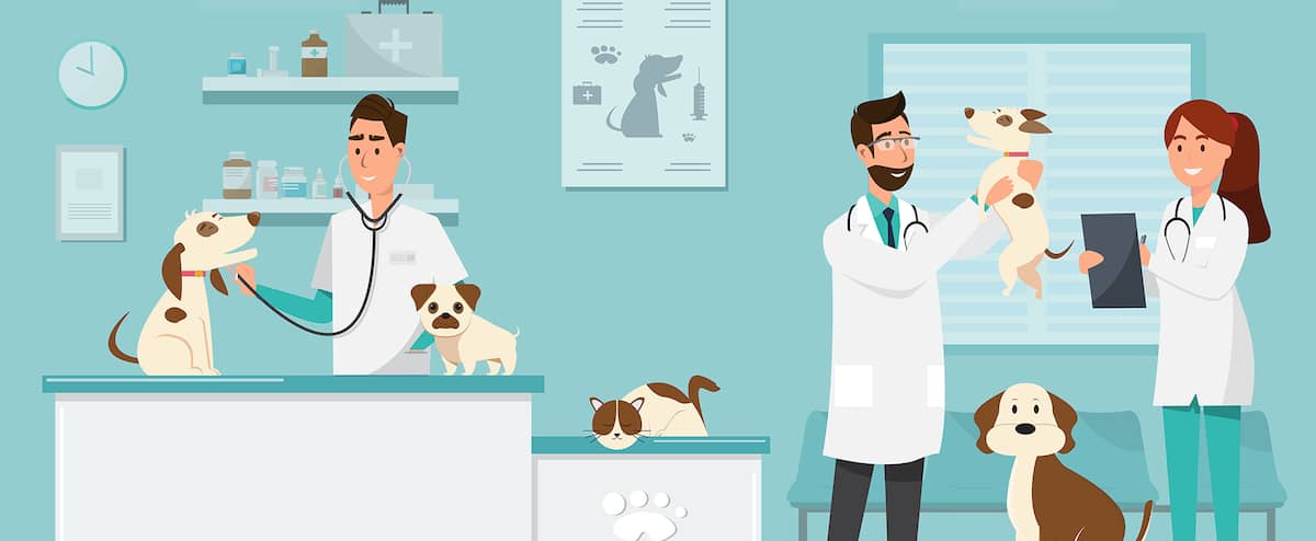 The cost of a pet is not to be neglected 1