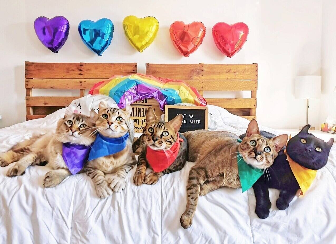 En Images Ca Va Bien Aller Pourquoi Pas Une Pinata Voici 25 Photos De Vos Arcs En Ciel Jdq