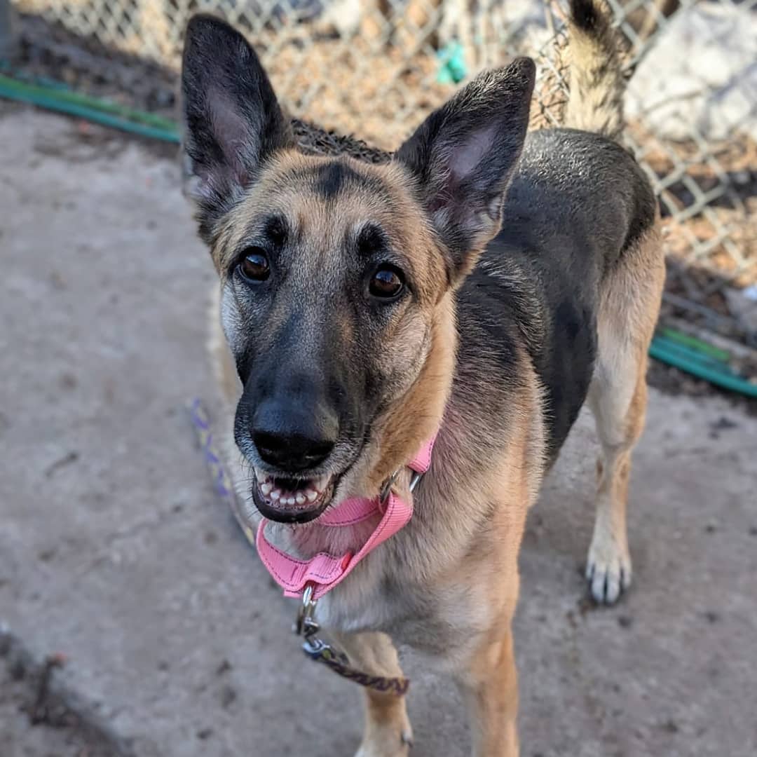 Diane a beaucoup d'amour à offrir