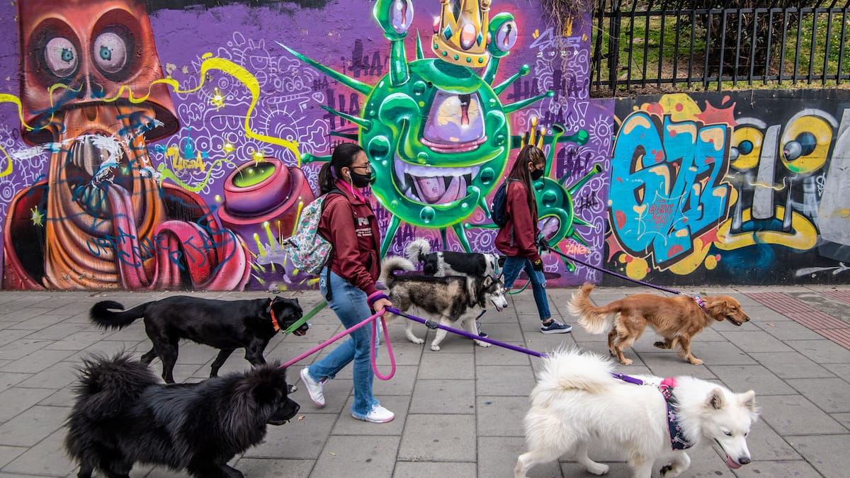 Developments on COVID-19 of October 12 1