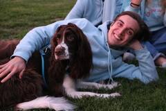 Noyade à Saint-Siméon: la chienne a péri en même temps que son maître