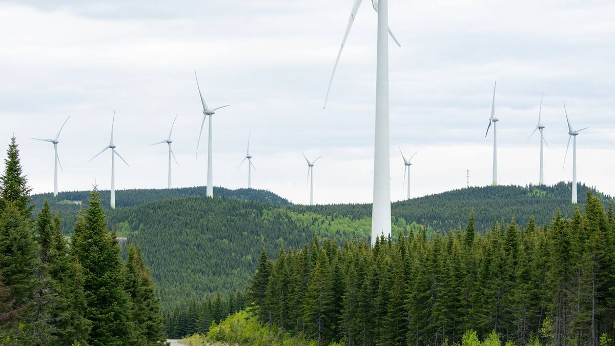 Le grand saccage de notre territoire habité!