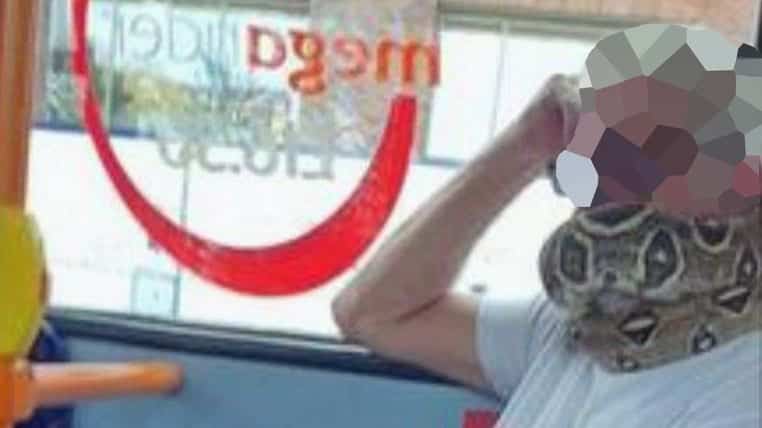 Un serpent vivant comme couvre-visage