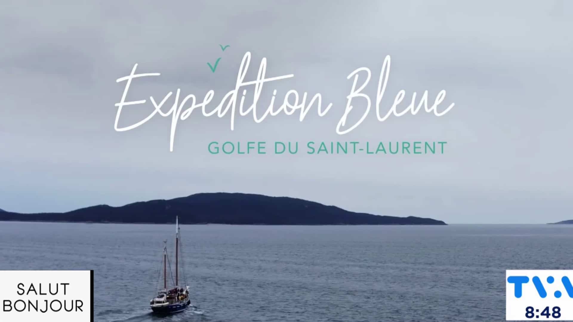 Organisation Bleue après l'expédition