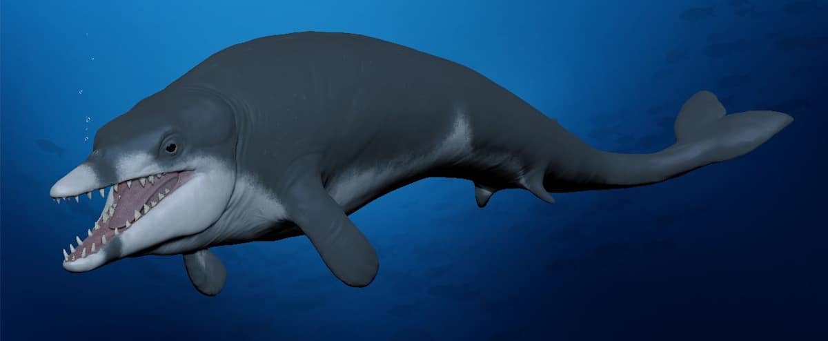 Egypt: Discovery of a whale that lived 41 million years ago Egypt: Discovery of a whale that lived 41 million years ago