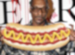 Snoop Dogg se lance dans une nouvelle business