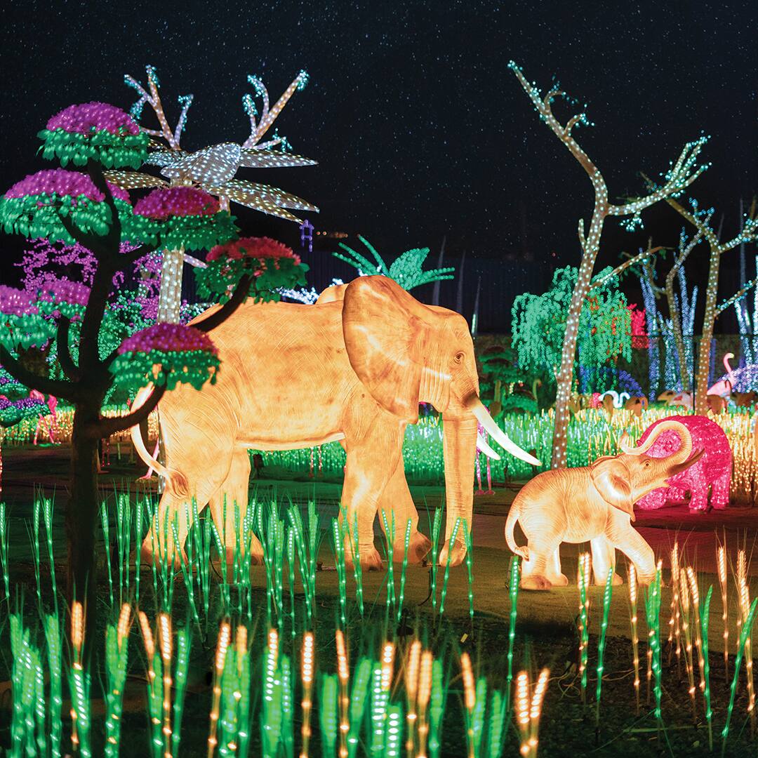 Image principale de l'article Festilumi: La nouvelle expérience féérique