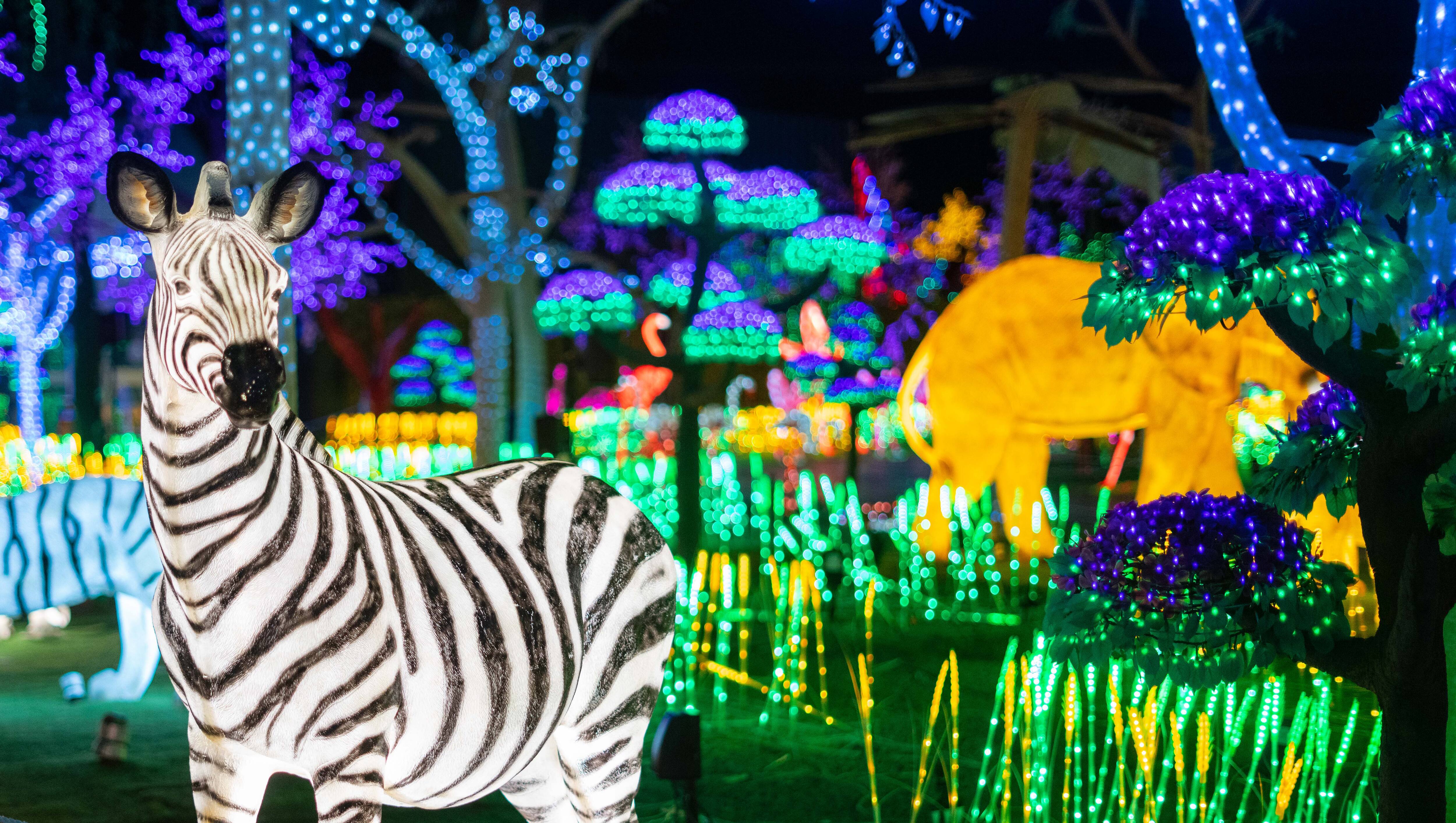 Image principale de l'article Les expositions et activités incontournables