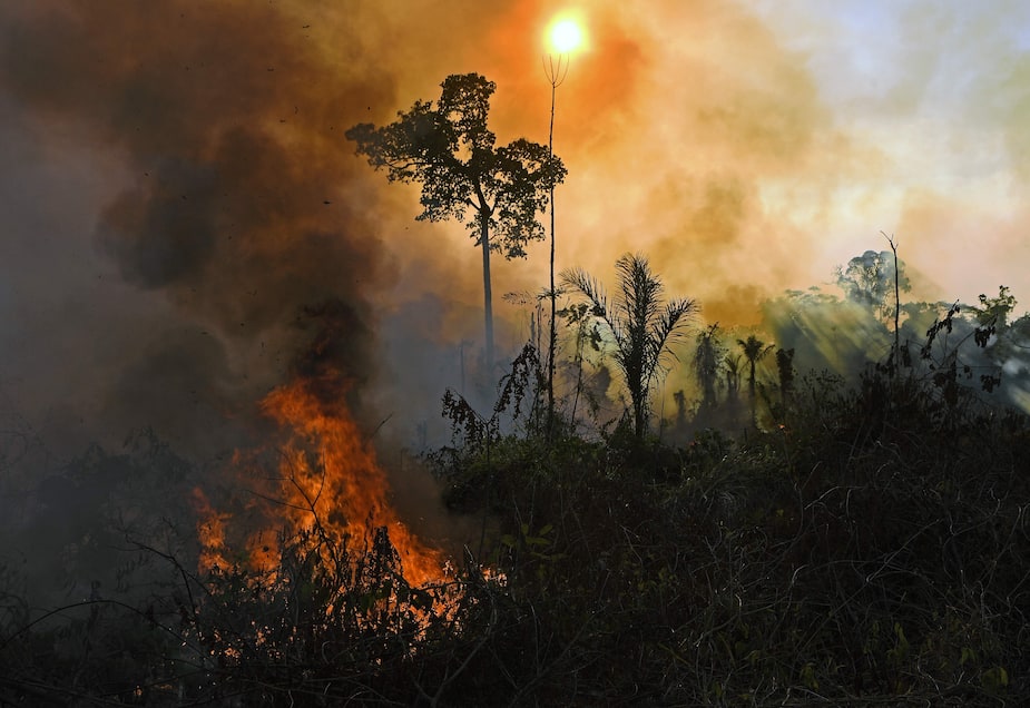 Image principale de l'article Déforestation: le Brésil menacé de boycottage
