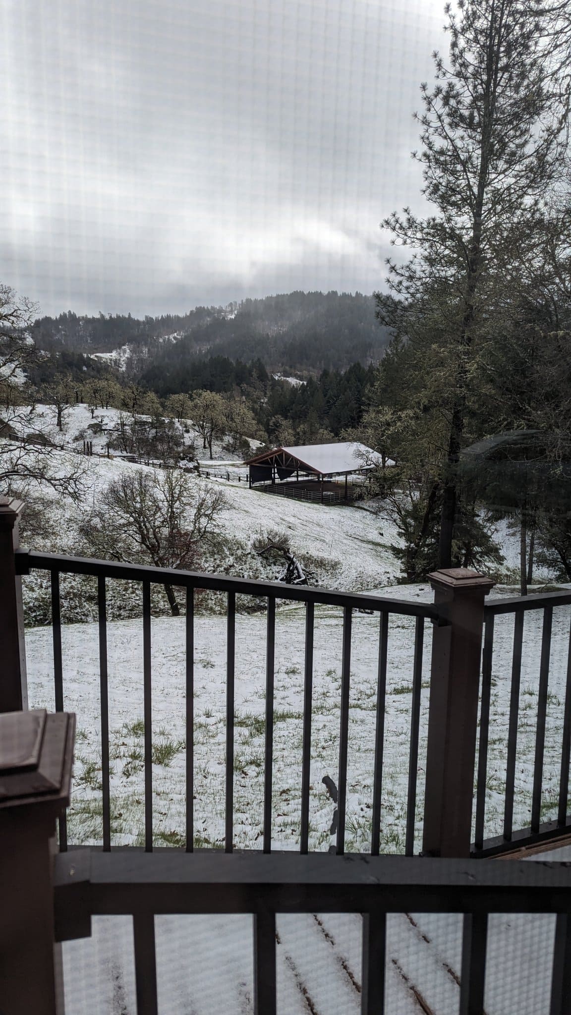 Extreme weather in the US: California freezes while Texas burns