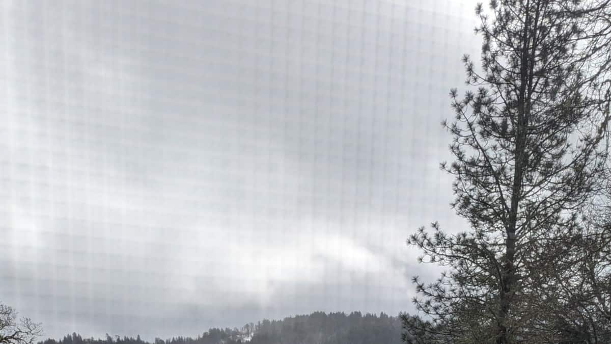 Severe weather in the US: California freezes while Texas burns Severe weather in the US: California freezes while Texas burns