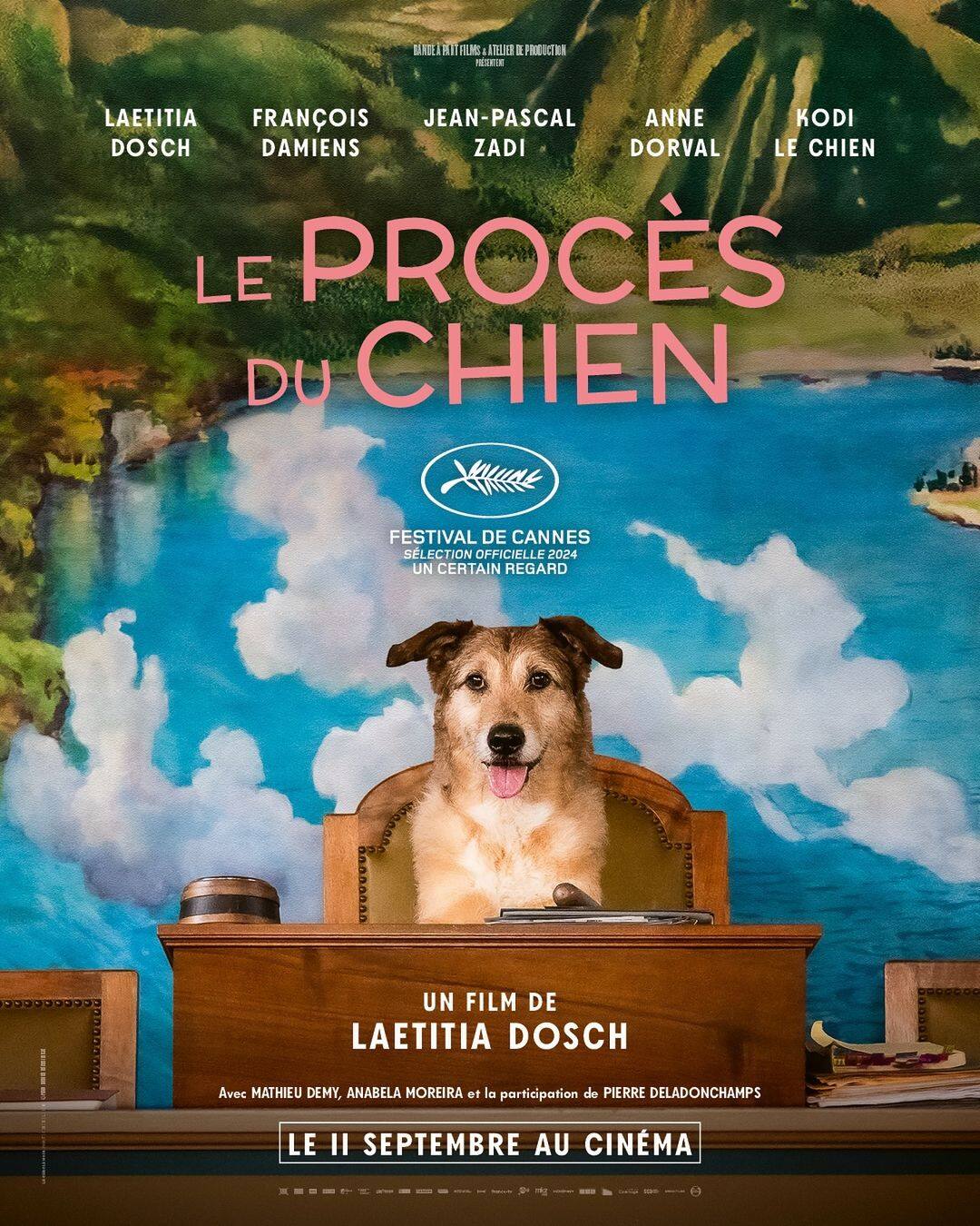 「犬の試練」の四本足スター、コディのパームドッグ