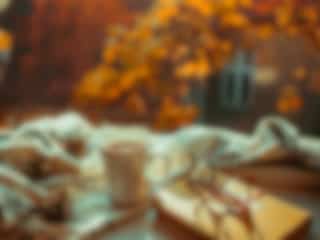 Nos 10 coups de coeur littéraires de la rentrée