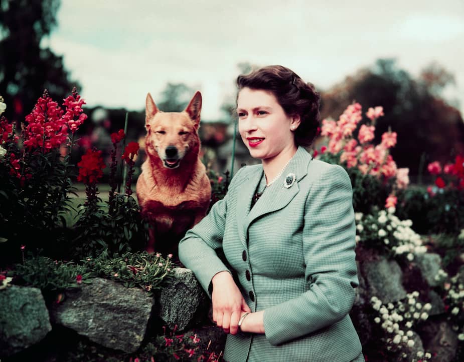Image principale de l'article C’est la fin des 70 ans de règne d’Élisabeth II