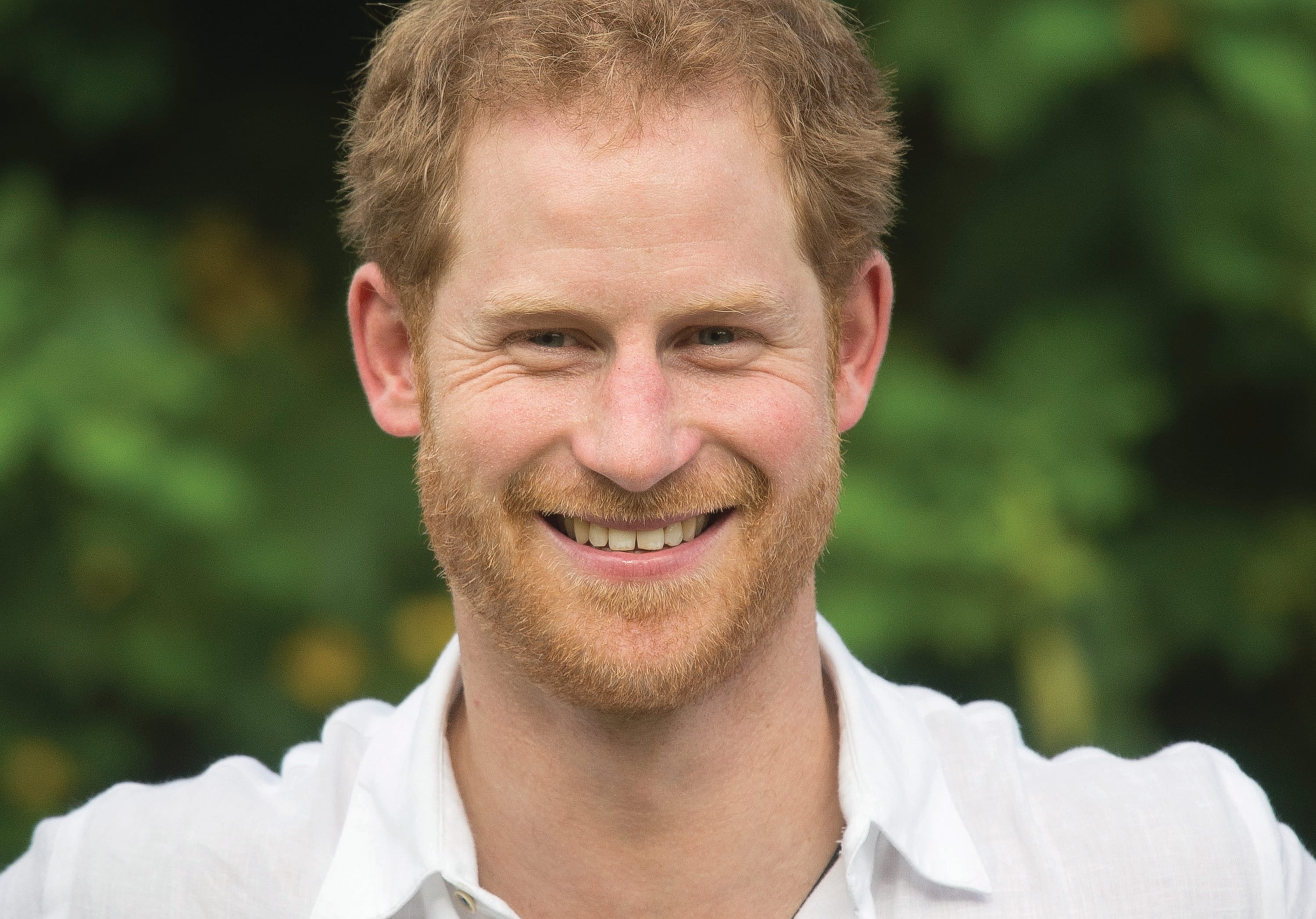 Les 12 plus beaux princes du monde