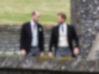 Un livre sur les conflits entre Harry et William