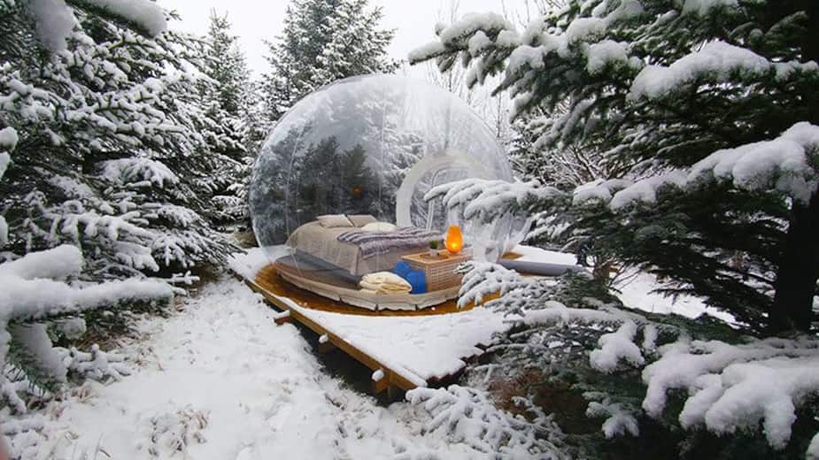 Image principale de l'article Hôtel-bulle avec vue sur les cieux