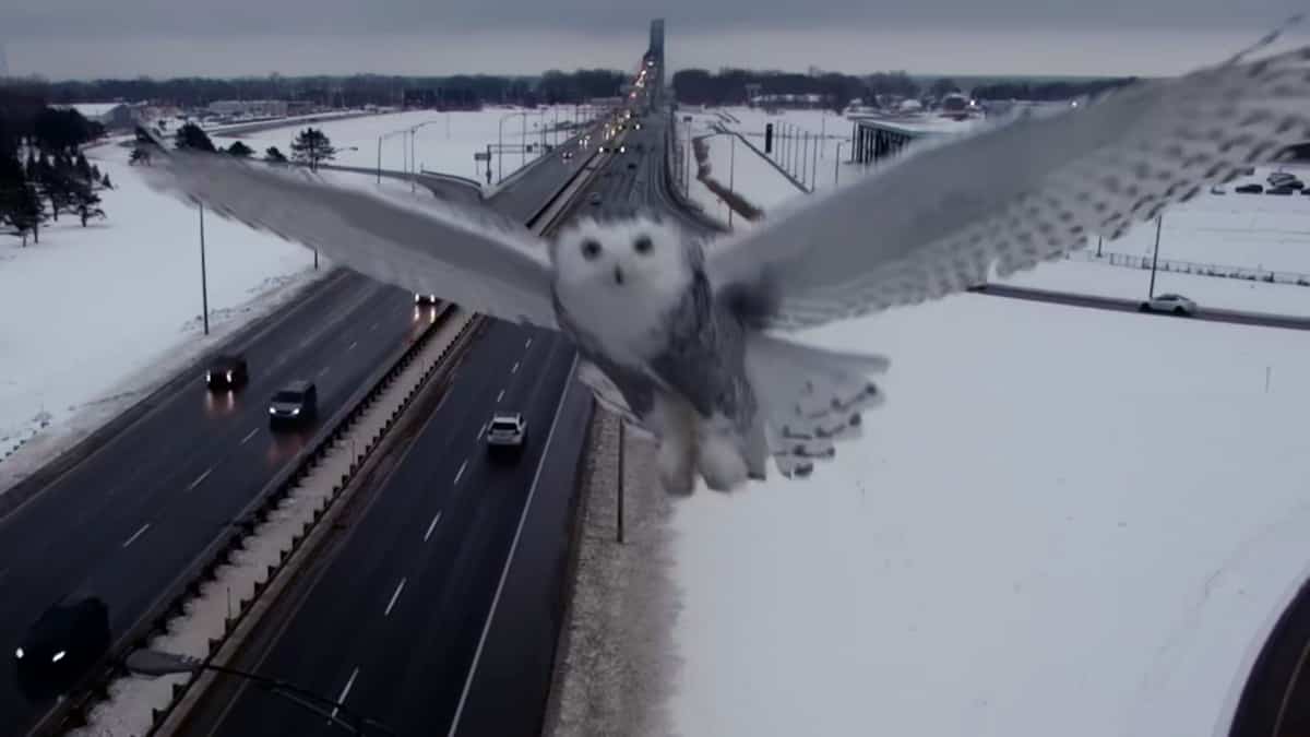 Circulation routière: gare à vous, un patrouilleur de l'air vous a à l'oeil!