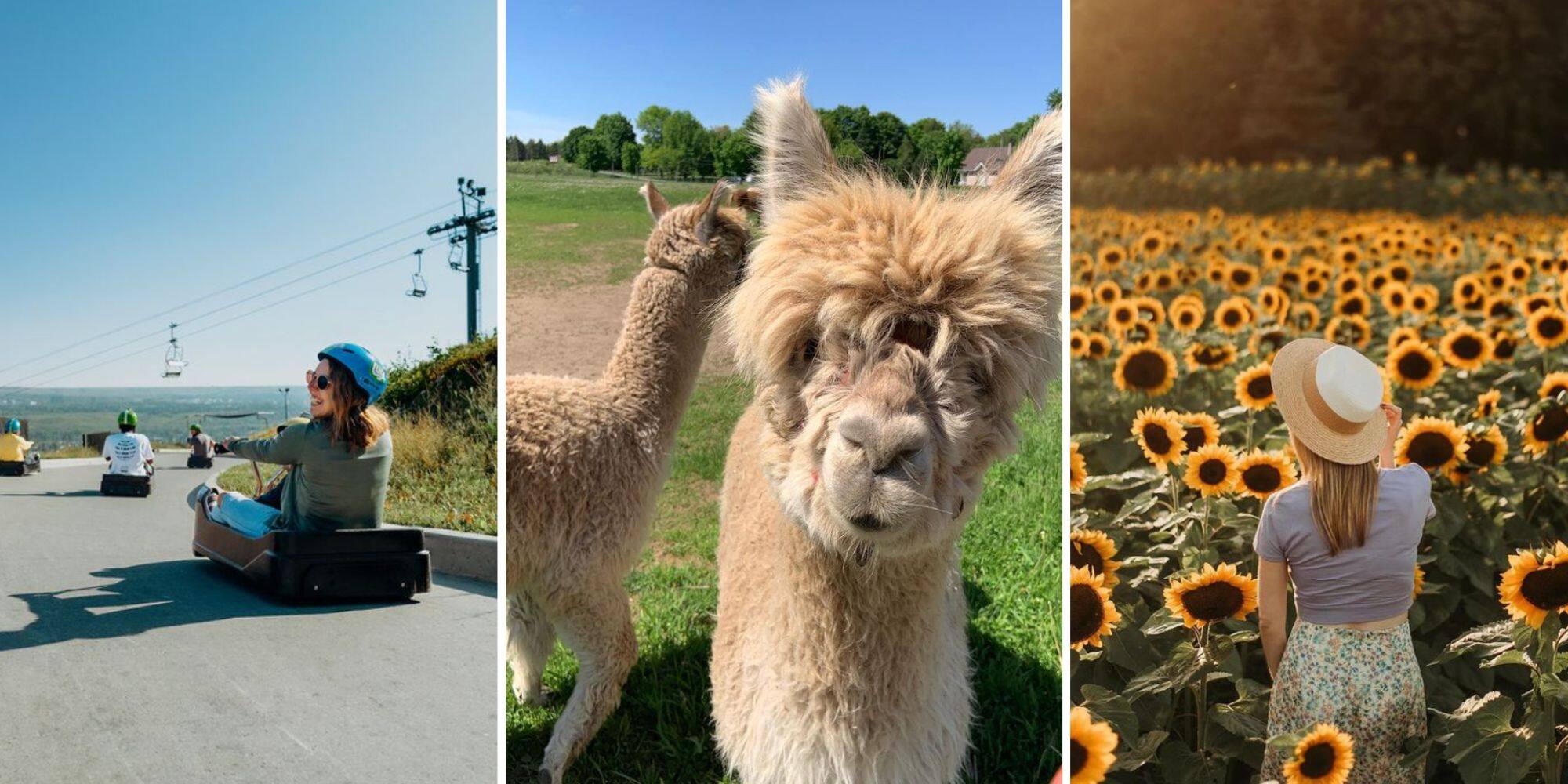 Fête du travail: 7 activités fun à faire au Québec