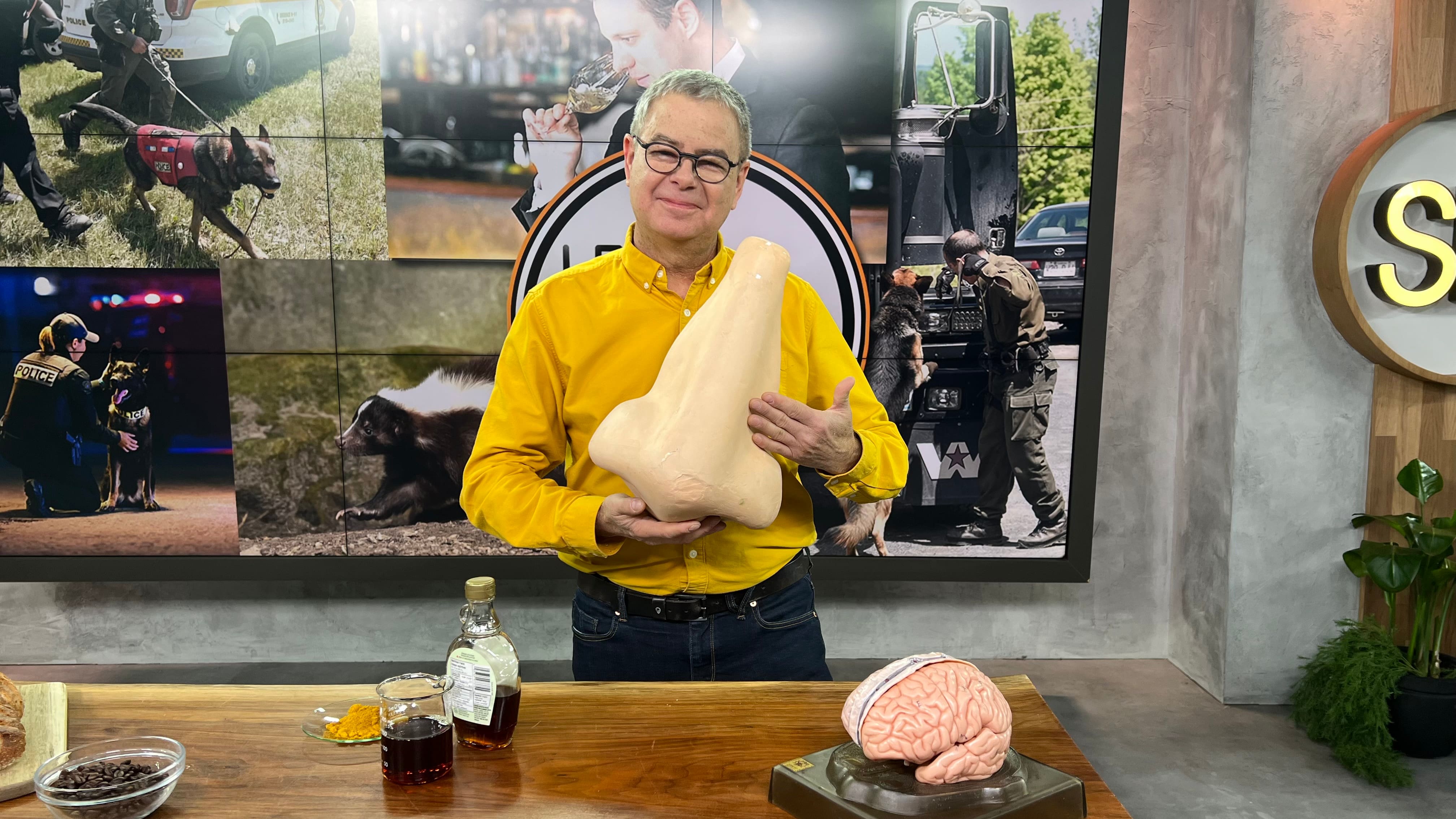 La chimie des odeurs 