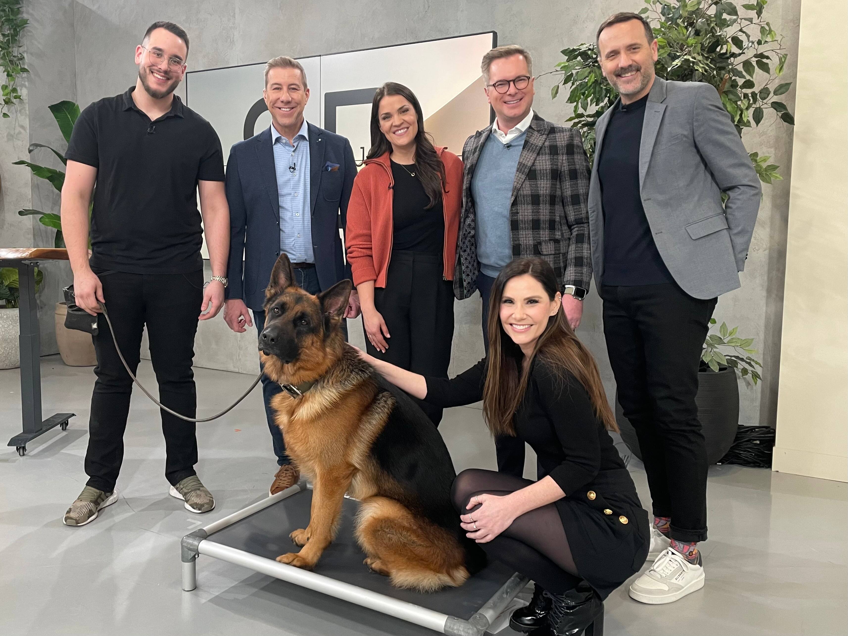 Éducateur canin à la rescousse de SBWE 