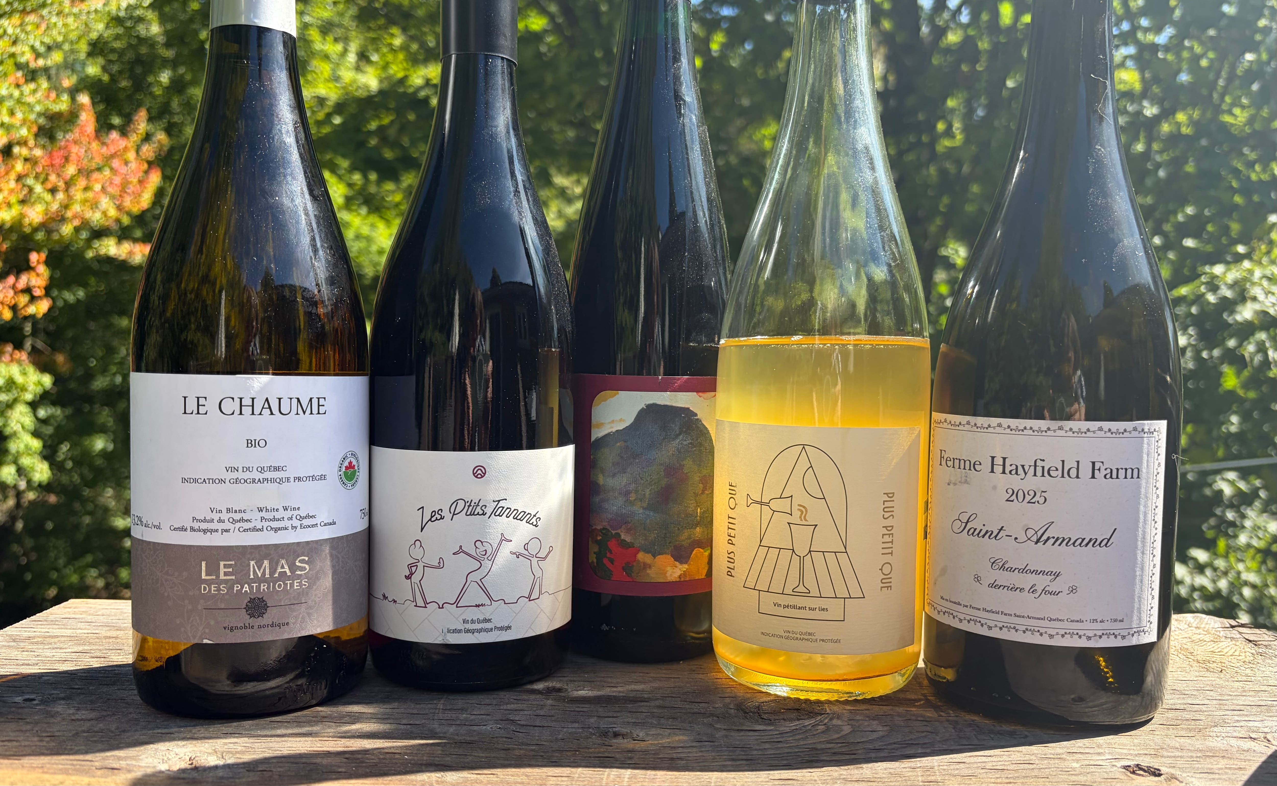 Plaisirs liquides du week-end : le Québec sous les projecteurs
