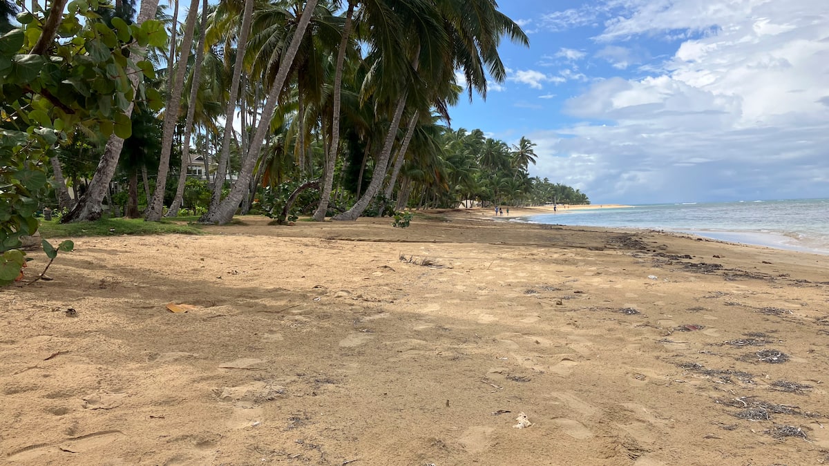 Las Terrenas: le village francophone de la République dominicaine | JDQ