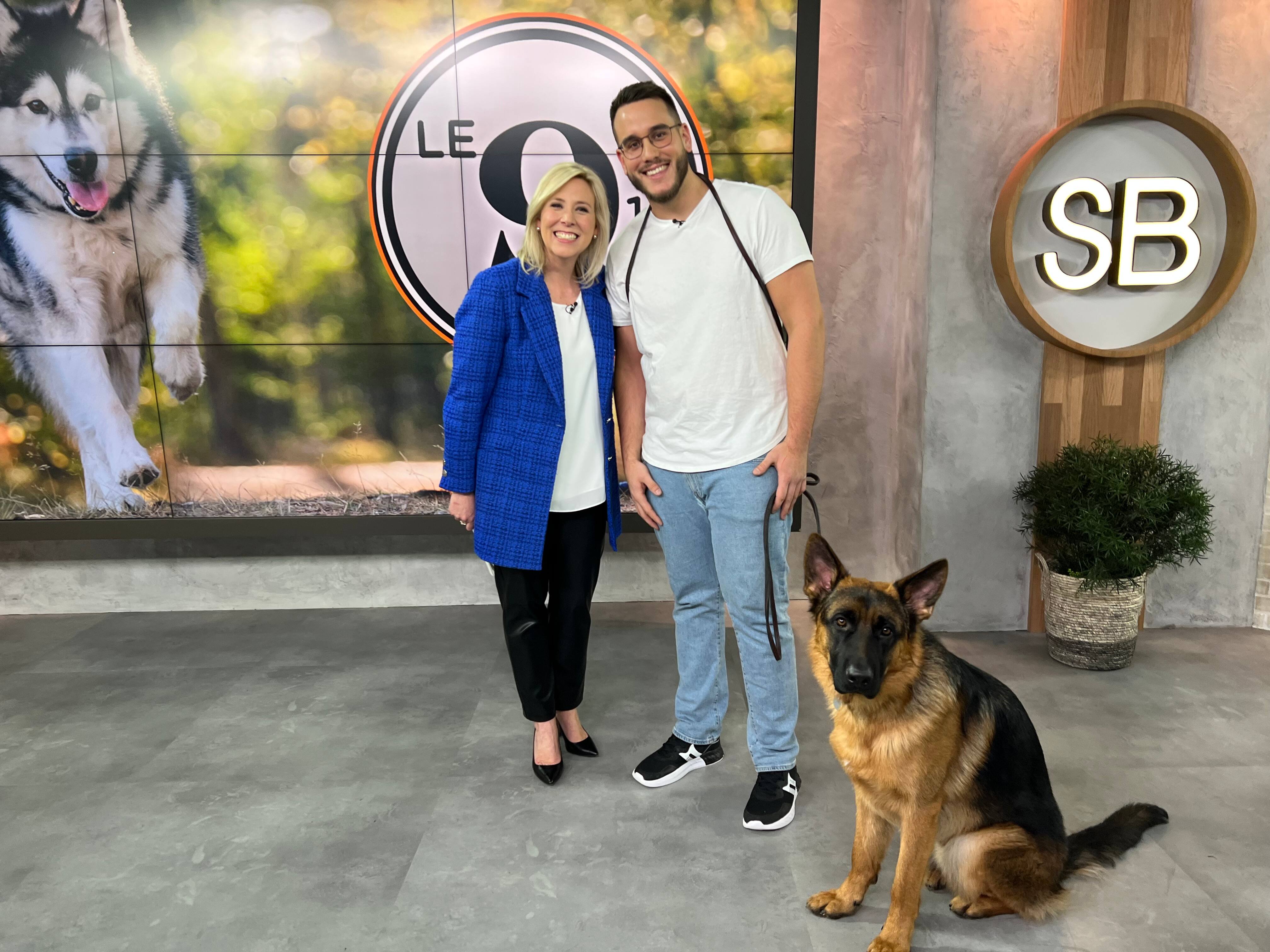 TRUCS 101 DE LA MARCHE EN LAISSE 