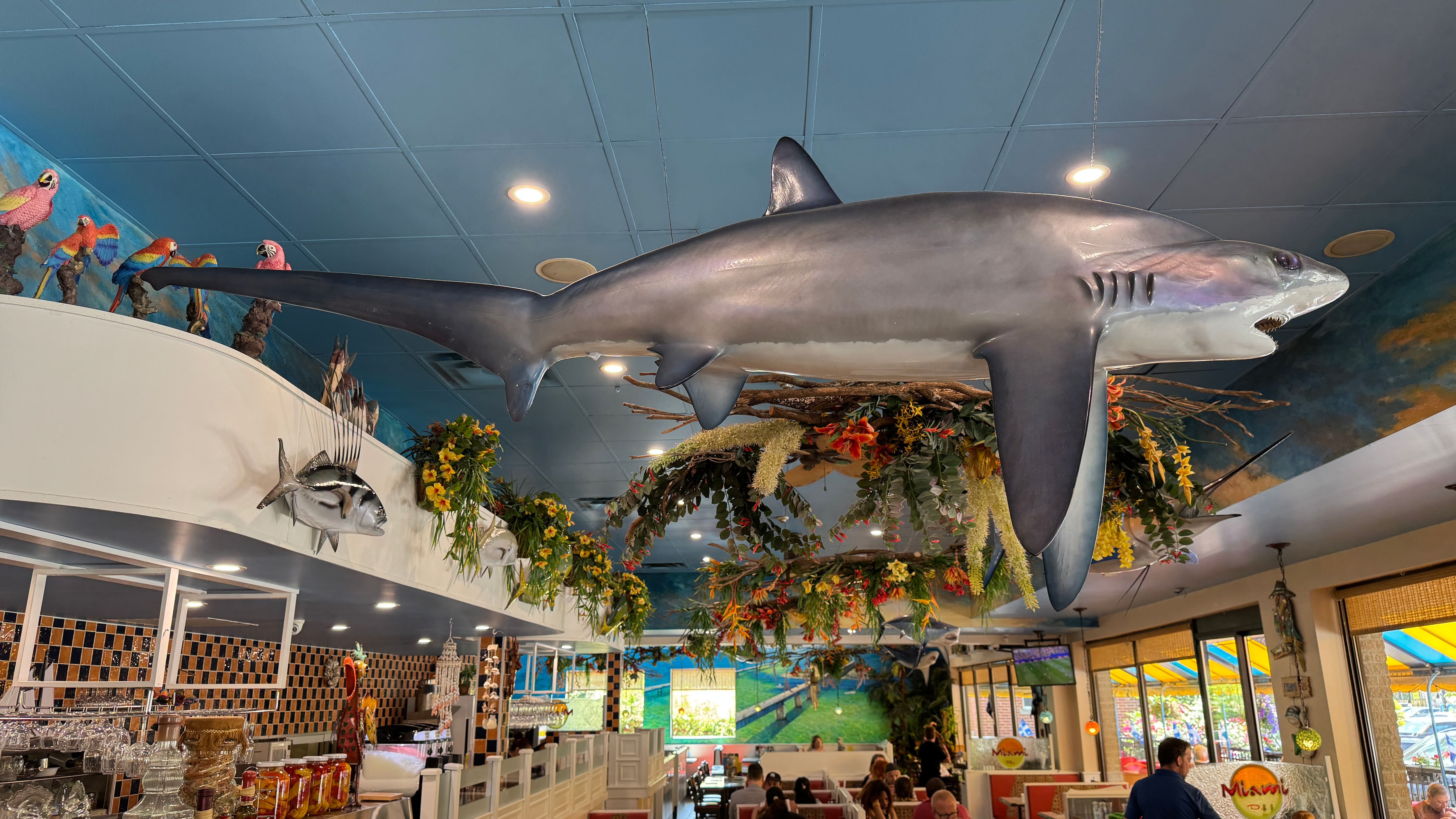La plupart des poissons accrochés au plafond du restaurant ont été pêchés par l'ancien propriétaire Steve Tsantes.