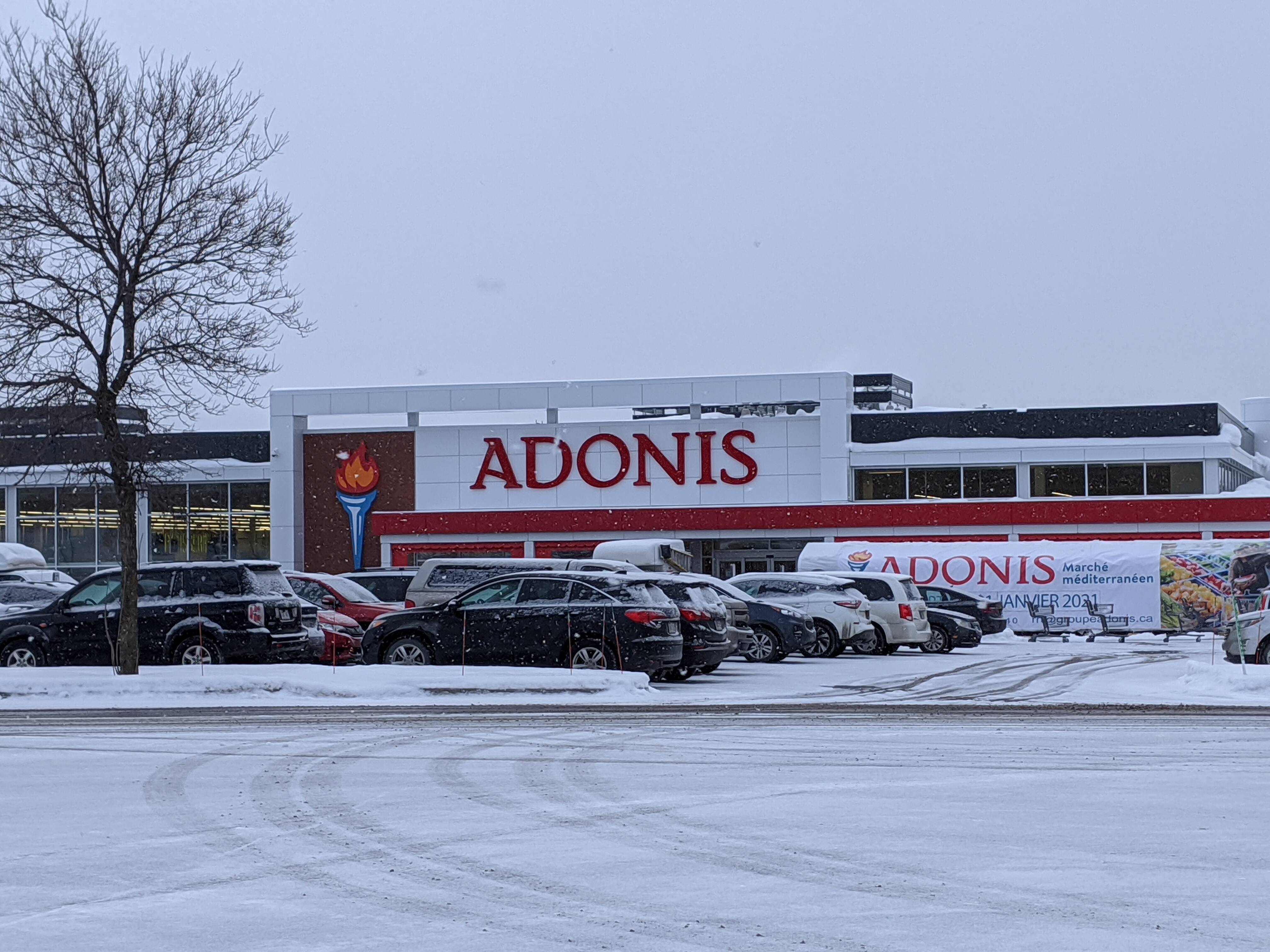 Marché Adonis ne ferme pas la porte à d’autres ouvertures à Québec | JDQ