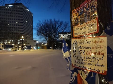 Pro-convoy placards and flags near parliament.