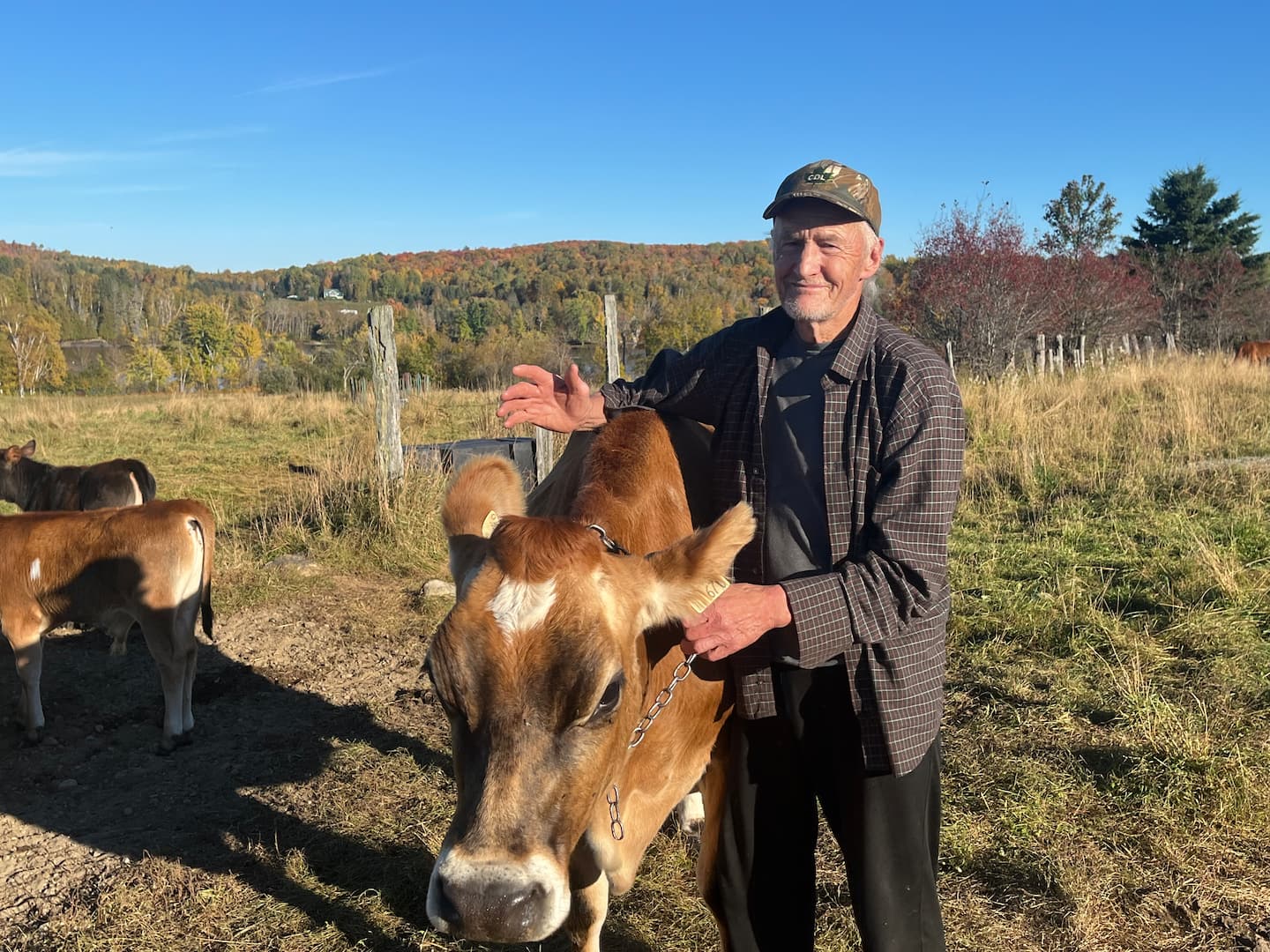 Un producteur laitier québécois met fin à ses activités face à la bureaucratie