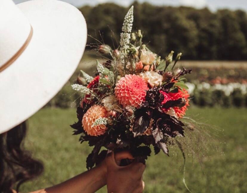 Un champ de fleurs où pratiquer l’autocueillette