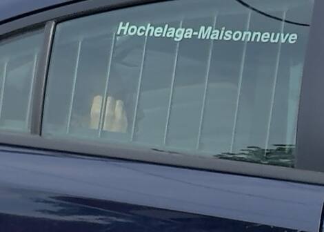 Suspect in police vehicle