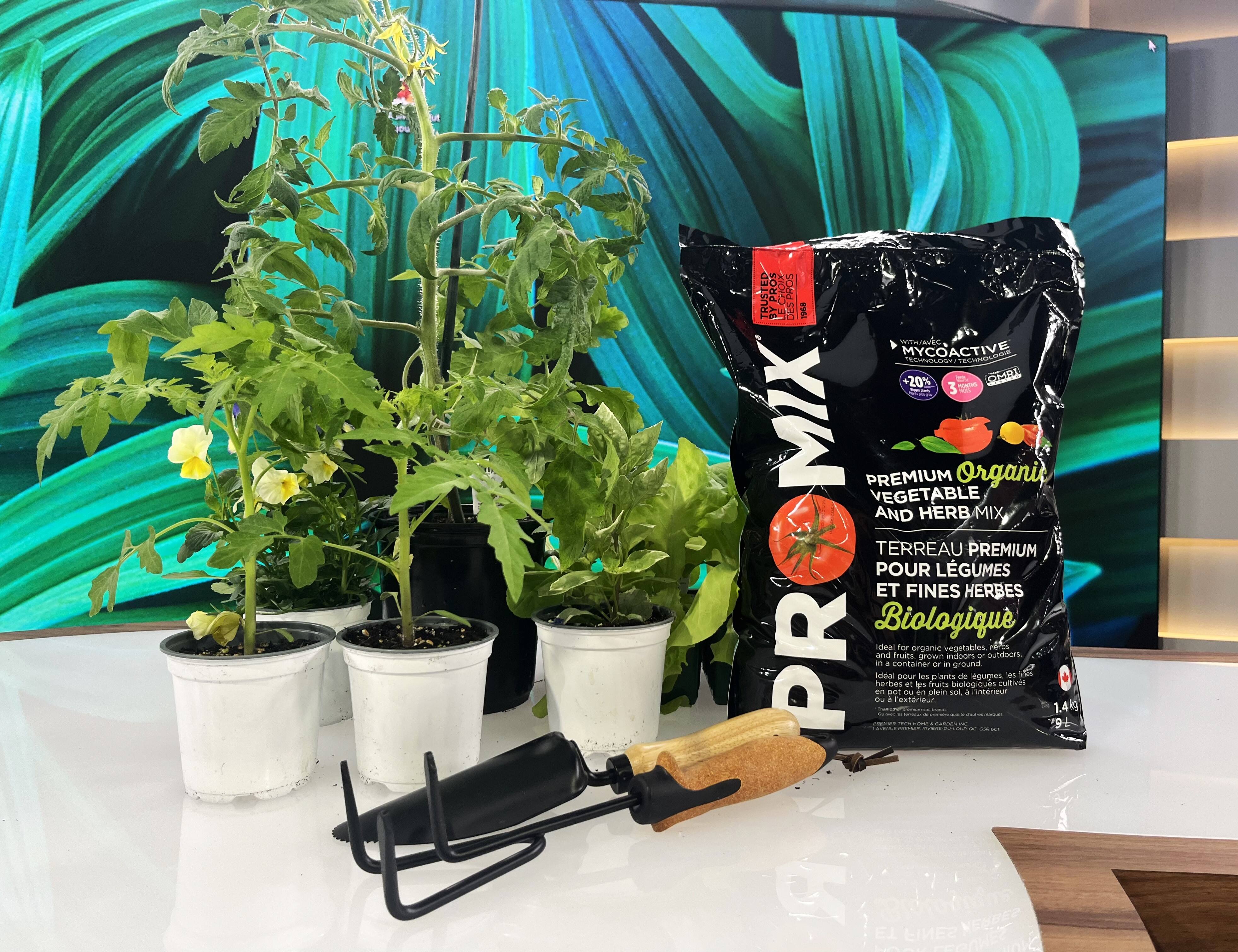 Pour un potager bio qui pousse