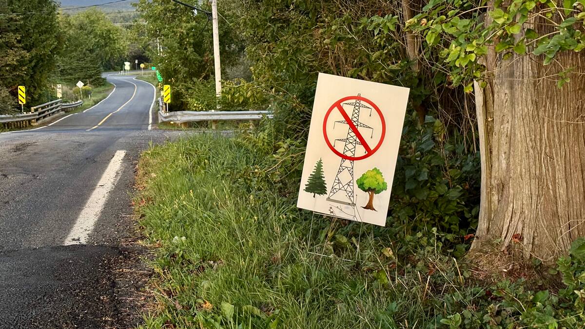 «Autoroutes de pylônes géants»: Hydro frappe un nœud dans les Cantons-de-l’Est