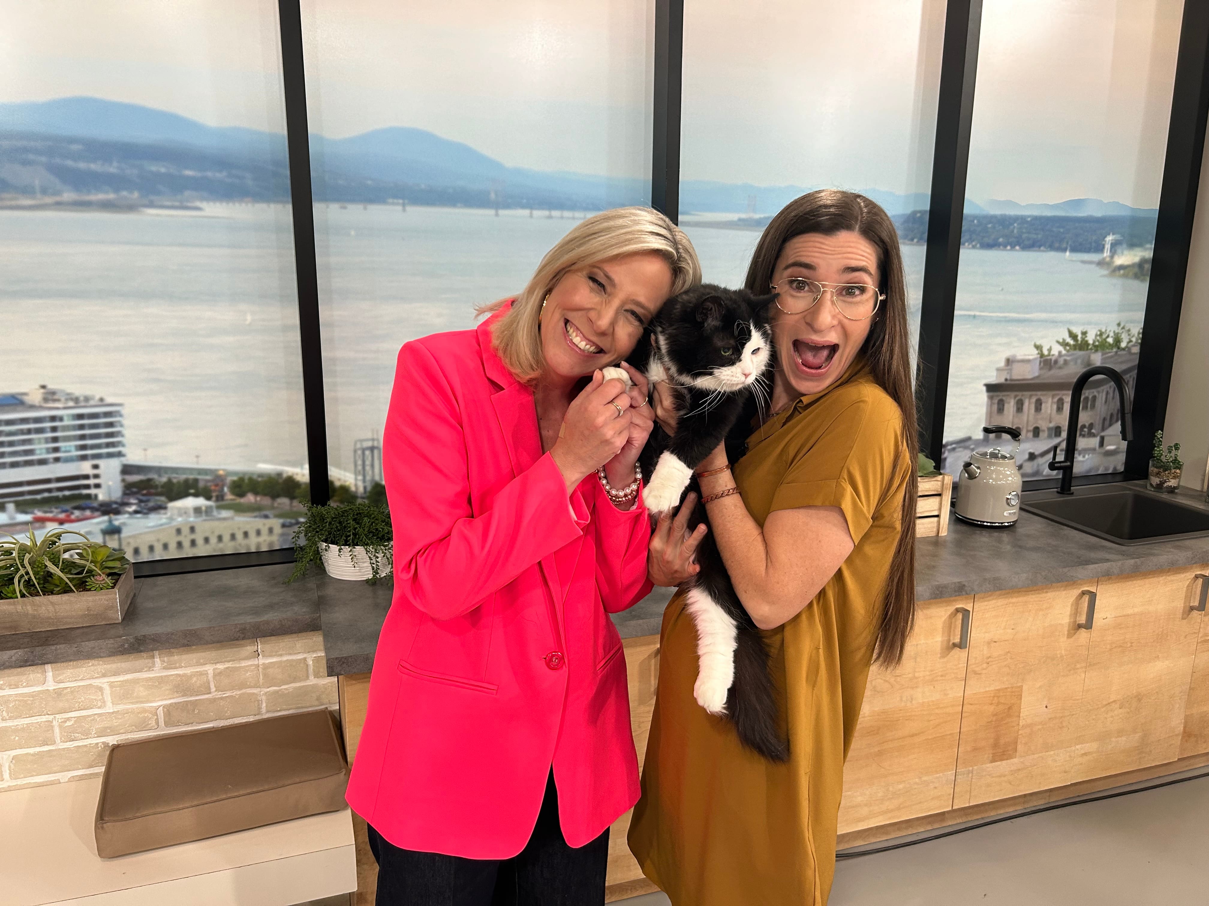 Les coûts variables des soins vétérinaires 