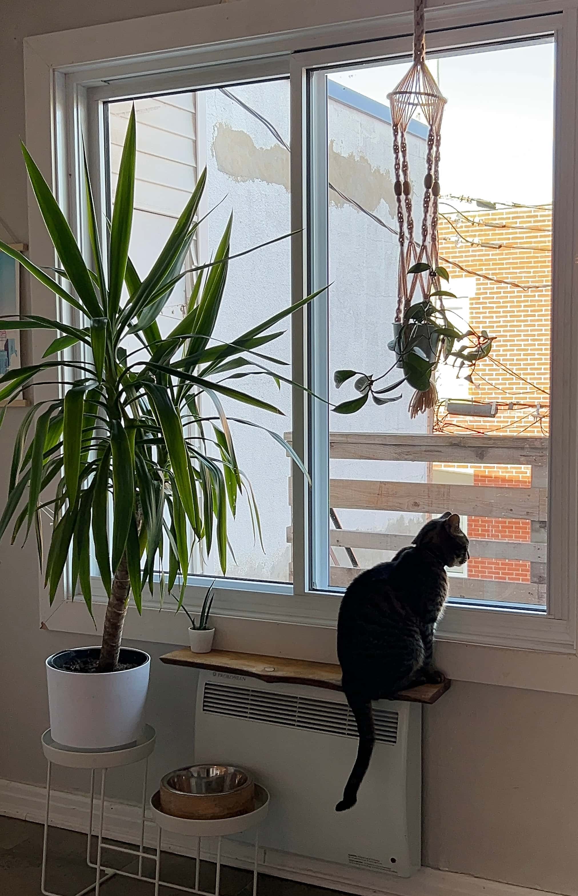 another view of Charlotte's apartment