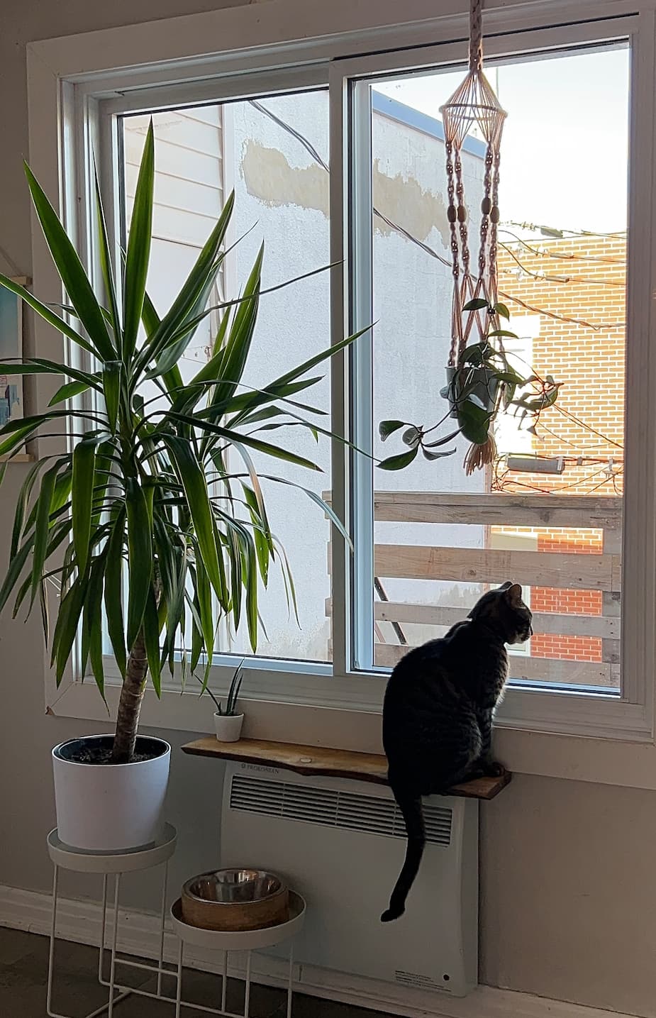 Charlotte Apartment Tour: $1200/month in Ville-Émard another view of Charlotte's apartment