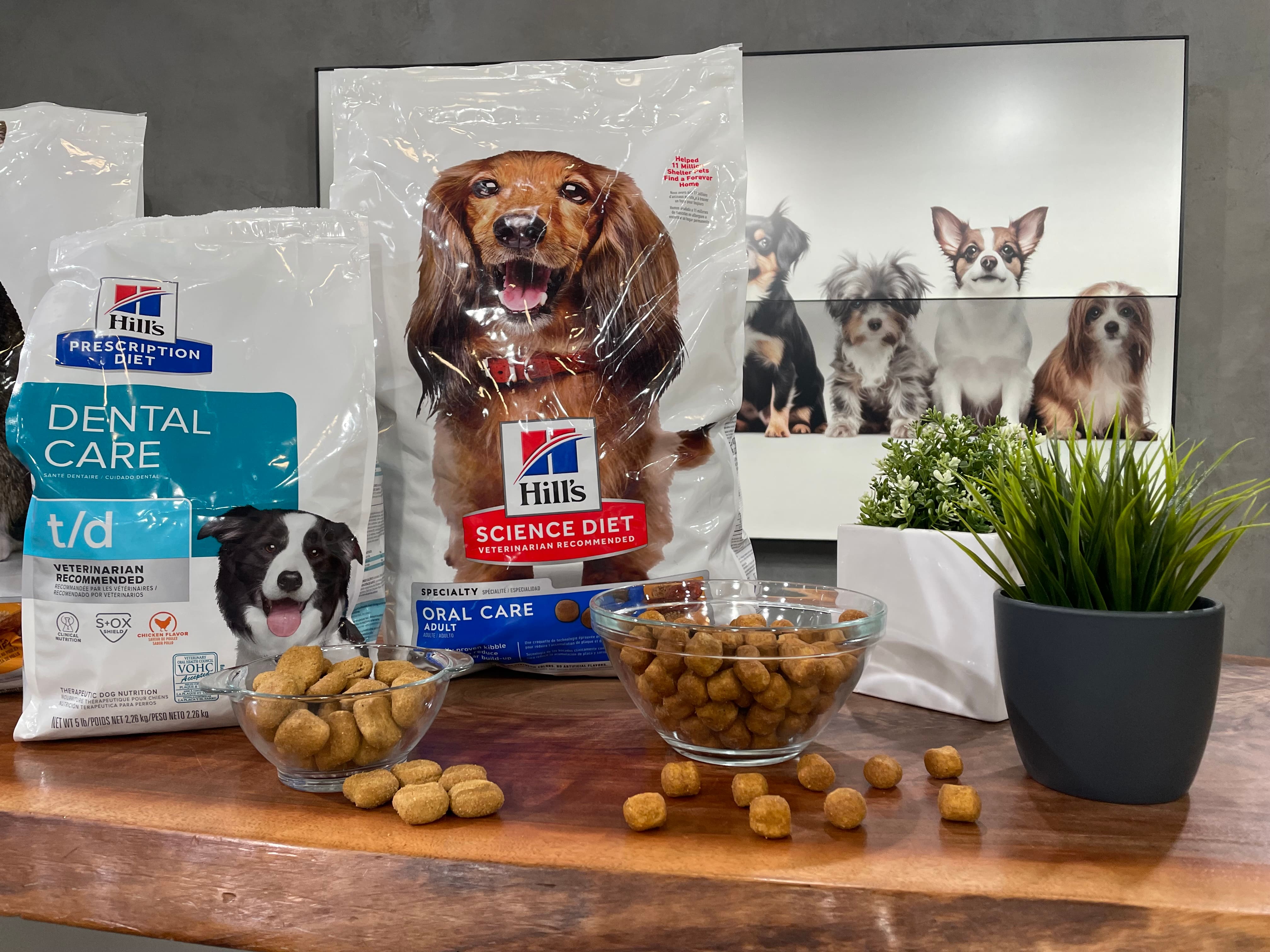 La santé dentaire cliniquement prouvée  