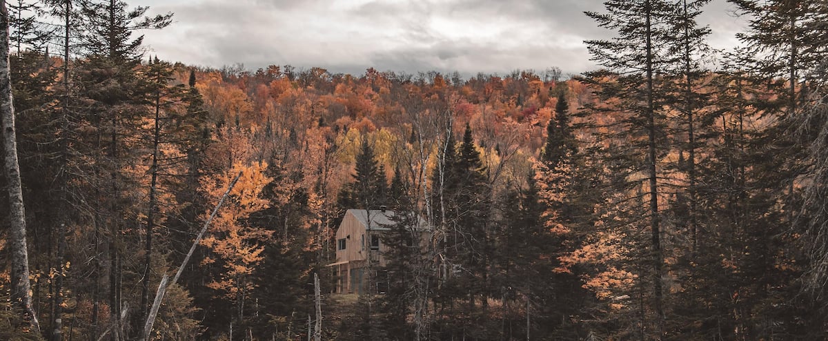 Escale au Lac: des mini-chalets paisibles à découvrir près de Québec