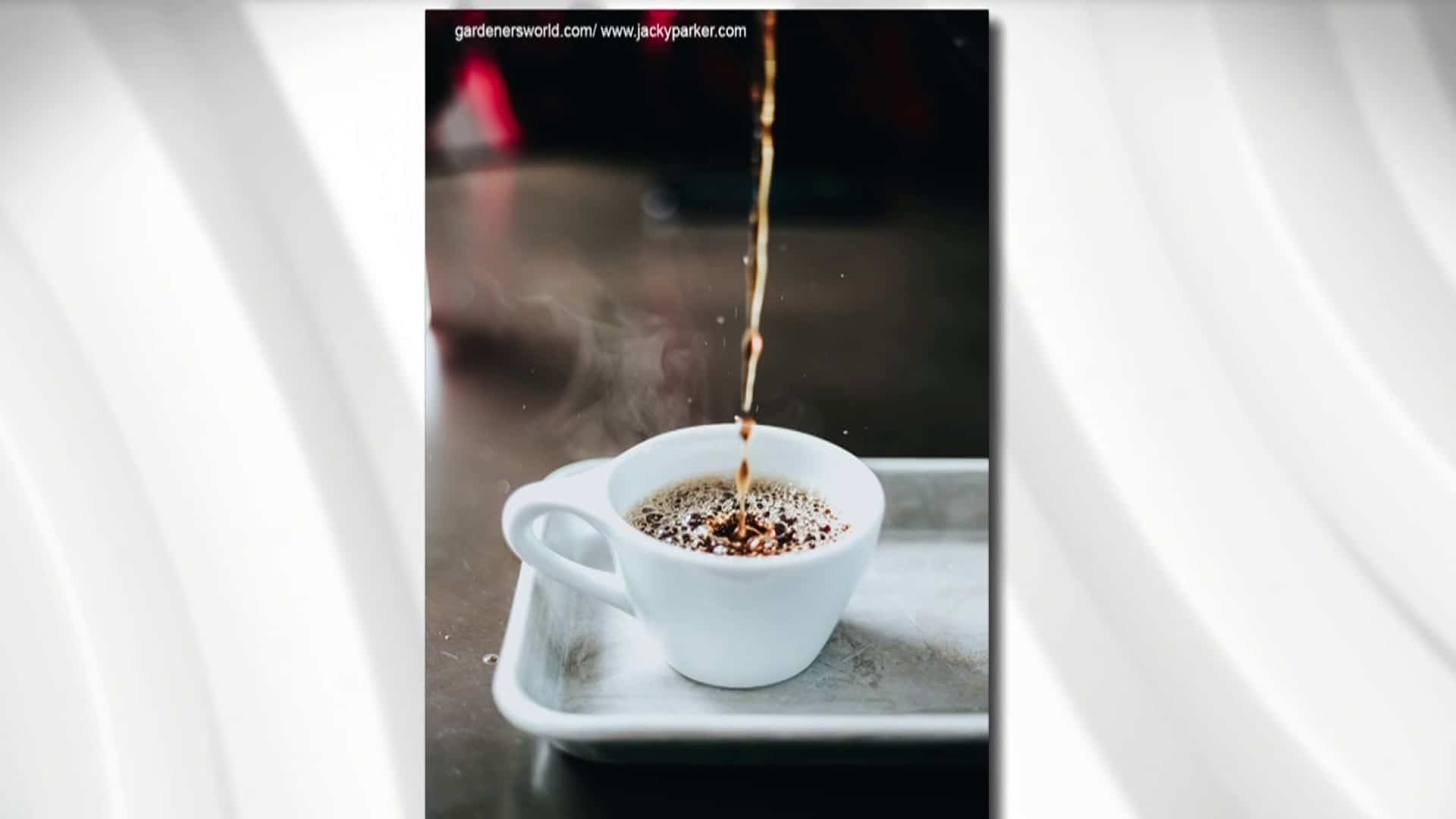 Les boissons chaudes sous la loupe d’Isabelle Huot