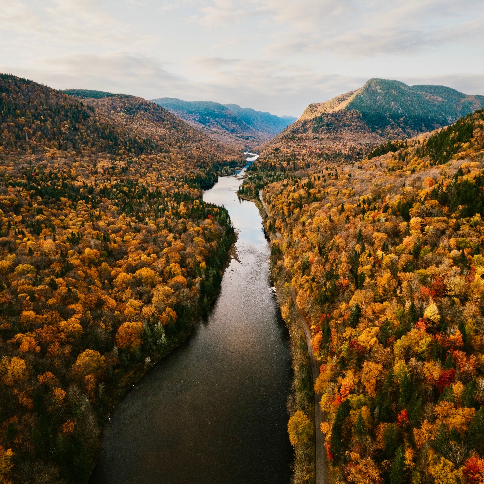 Découvrir le visage de la nature en automne