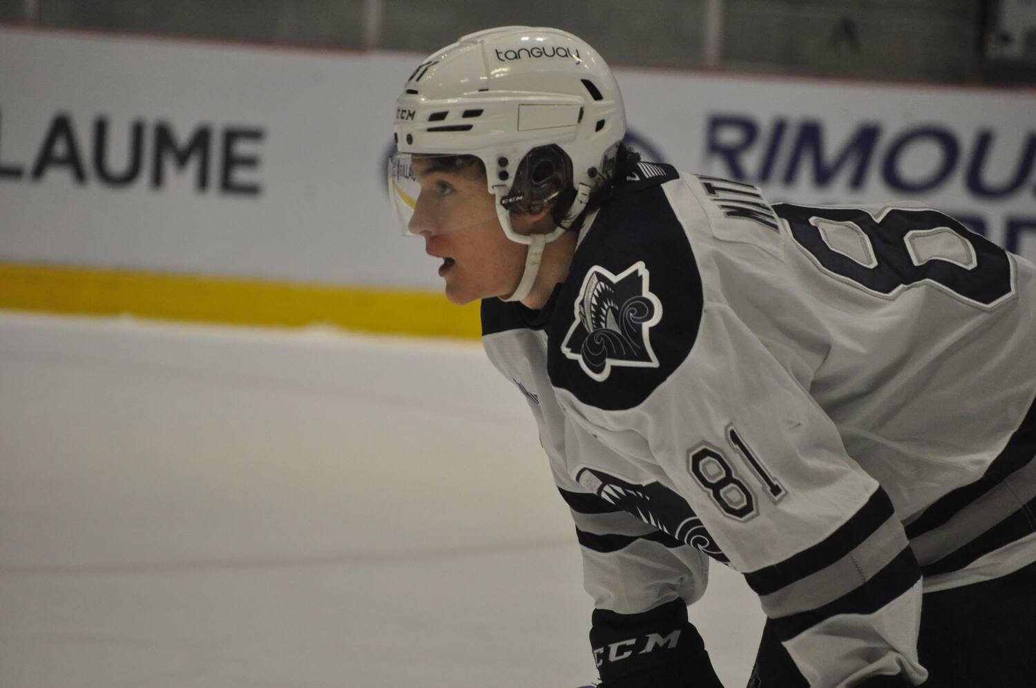 LHJMQ: les Wildcats griffent l’Océanic | JDQ