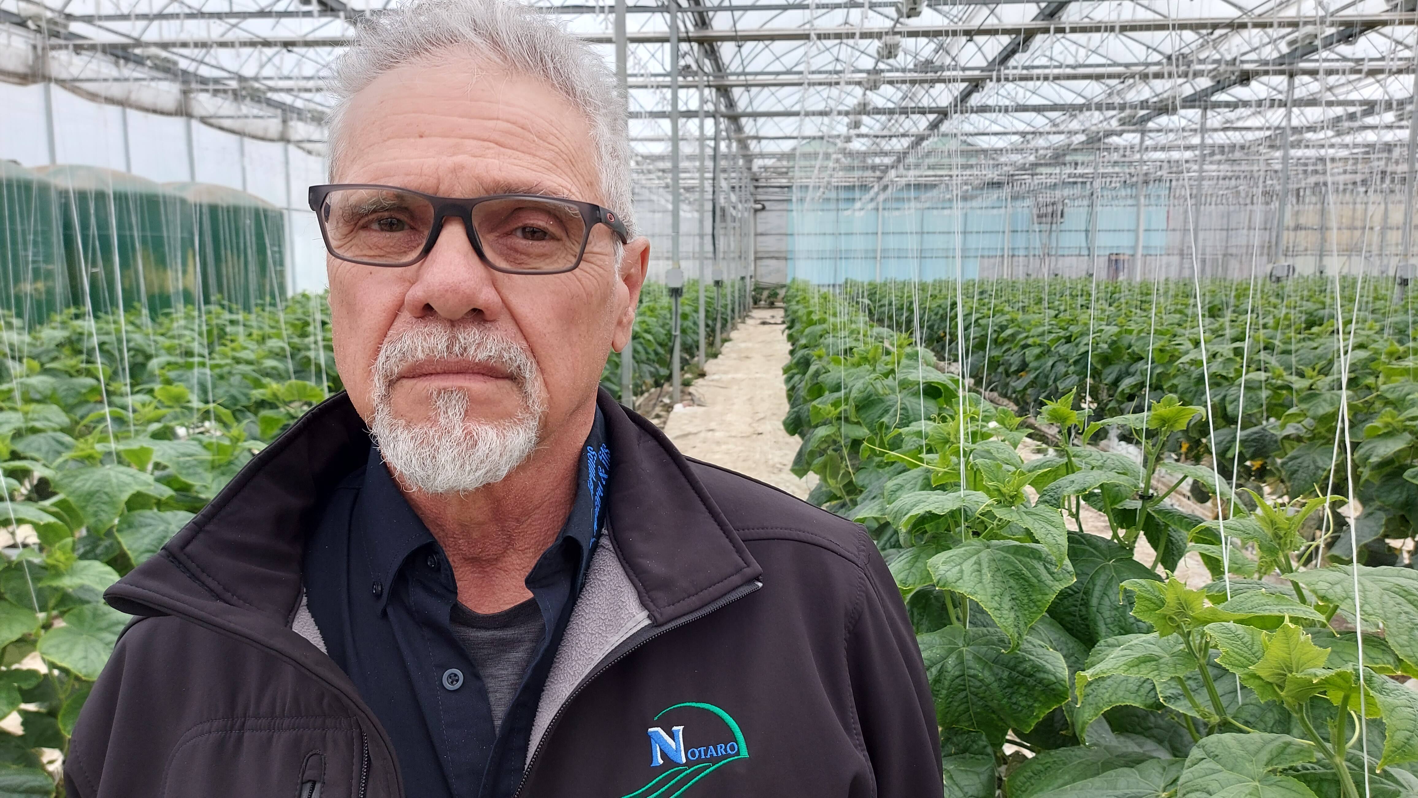 &laquo;&Ccedil;a devient toujours un casse-t&ecirc;te&raquo;: pr&egrave;s de 20 000 travailleurs &eacute;trangers attendus dans nos champs