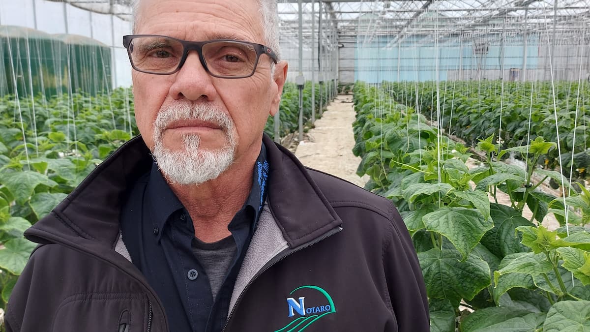 «Ça devient toujours un casse-tête»: près de 20 000 travailleurs étrangers attendus dans nos champs