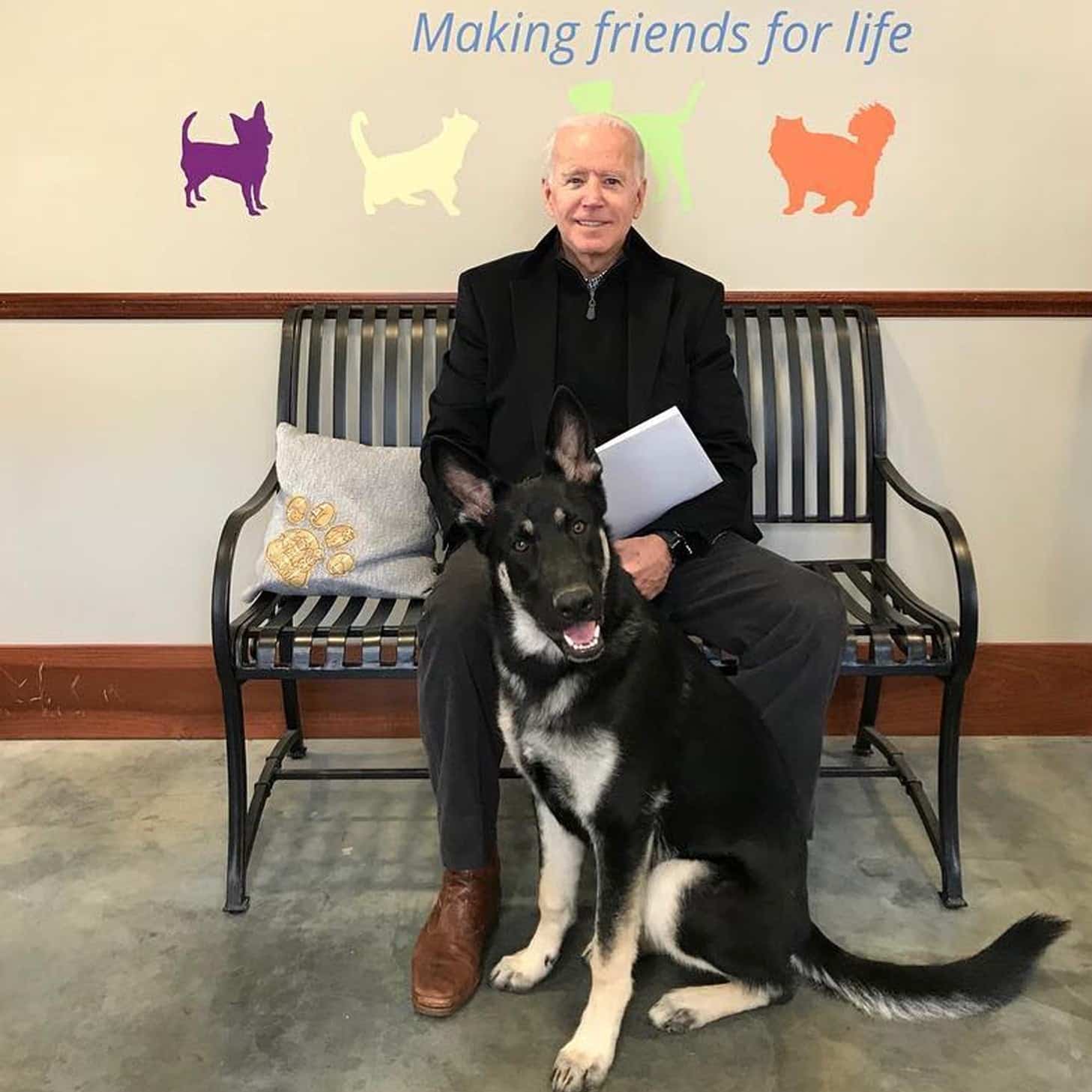 https://m1.quebecormedia.com/emp/emp/Joe_Biden_Adopts_Rescue_Dog_Named_Major39278020-ae43-42eb-9311-5202a3ebbfdb_ORIGINAL.jpg?impolicy=crop-resize&x=0&y=117&w=1457&h=820&width=1200