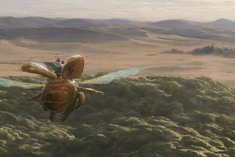 Capture du jeu The Bird That Drinks Tears