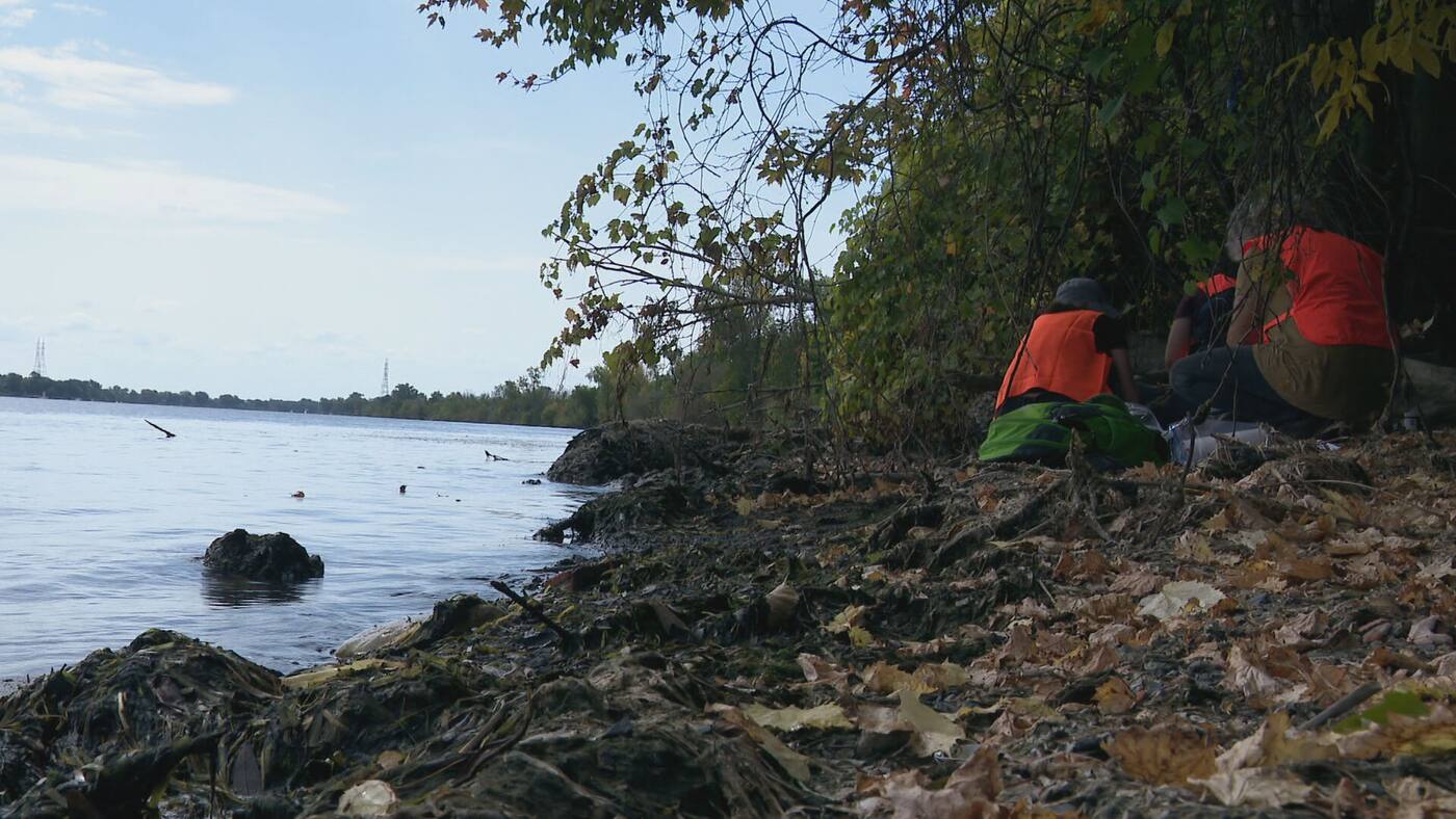 Main Contamine Projet Northvolt en Montérégie: des citoyens craignent des déversements ...
